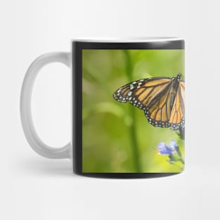 Monarch Mug